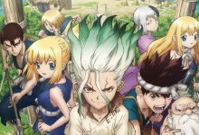 Dr. Stone - Flores Pick
