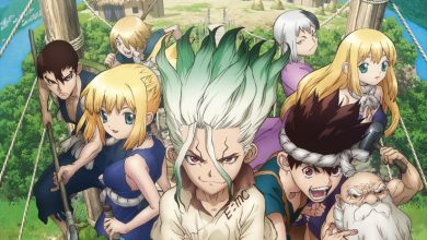 Dr. Stone - Flores Pick
