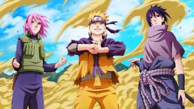 Naruto Shippuden (Season -13)