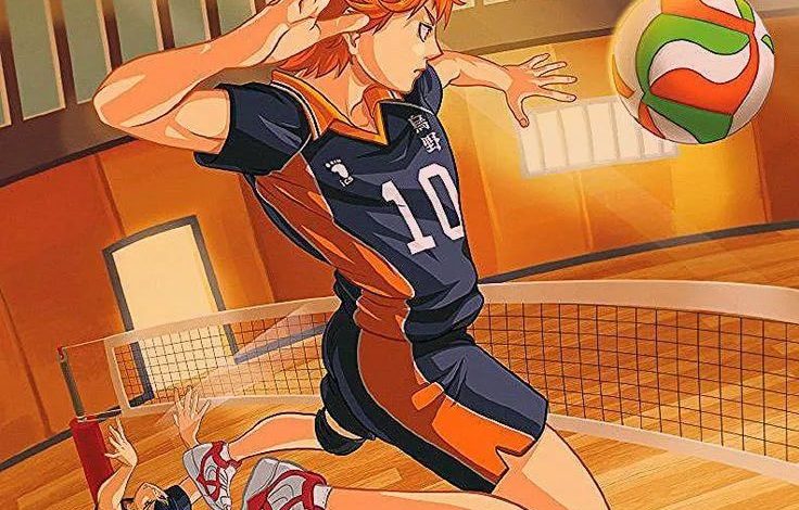 Haikyu!! - Flores Pick